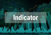 Indicator hiển thị thông tin tài khoản – Account Information
